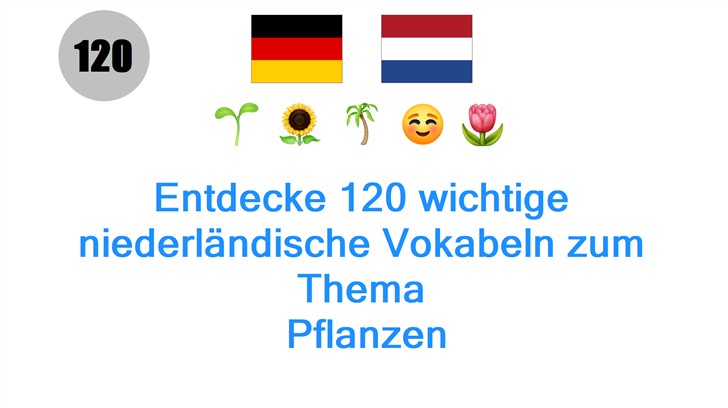 Entdecke 120 wichtige niederländische Vokabeln zum Thema: Pflanzen